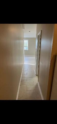 1100 per month one bedroom apartment - Photo 6