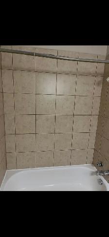 1100 per month one bedroom apartment - Photo 8
