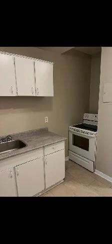 1100 per month one bedroom apartment - Photo 10
