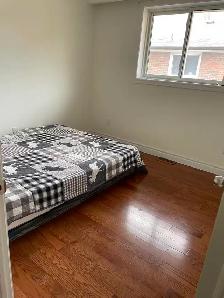 Markham Rooms for Rent-Clean, Convenient & Affordable - Photo 8