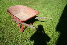 Brouette barouette de jardinage chariot (Livraison possible)