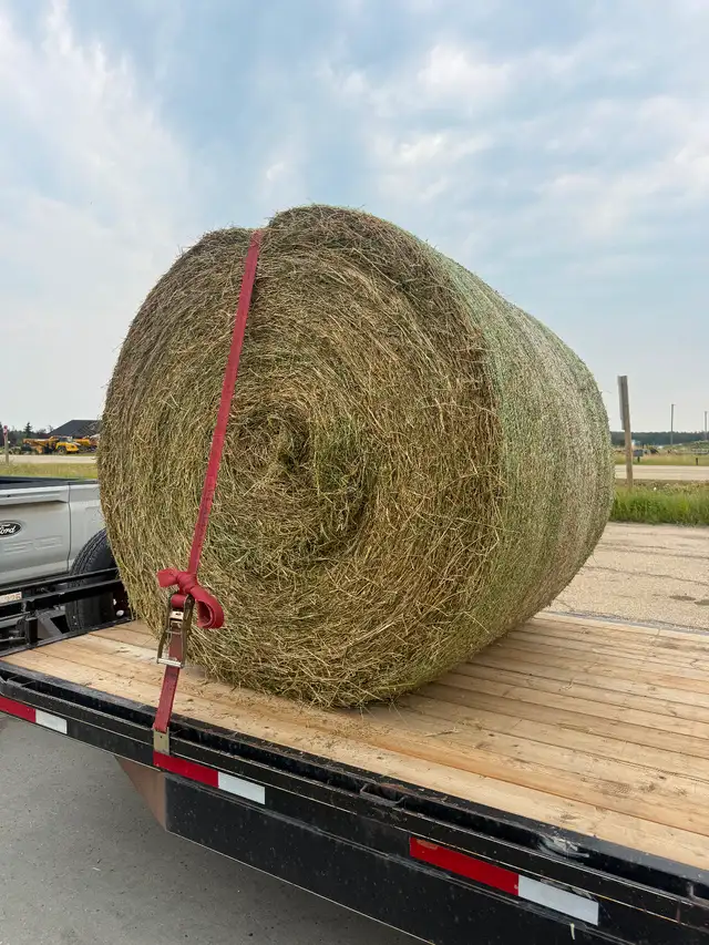 Hay for sale