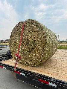 Hay for sale