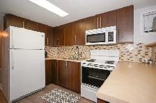 Scarborough Rooms for Rent – Clean, Convenient & Affordable - Photo 4