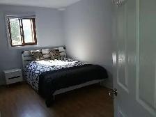 Scarborough Rooms for Rent – Clean, Convenient & Affordable - Photo 9
