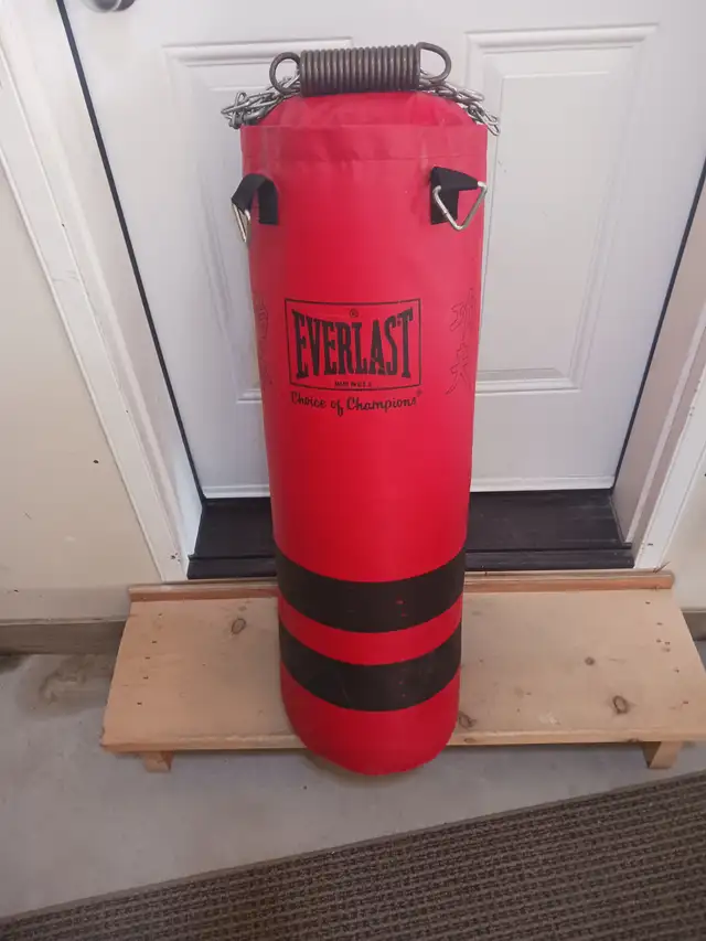 Everlast Heavy Bag