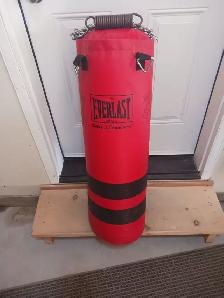 Everlast Heavy Bag