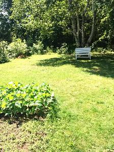 Bright, Quiet Student Space for Rent in Centerville - Photo 3