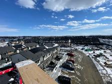 Framer wanted - Photo 3