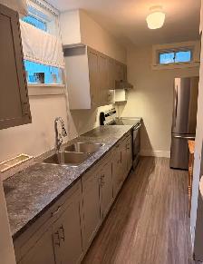Southside furnished one bedroom basement suite.
