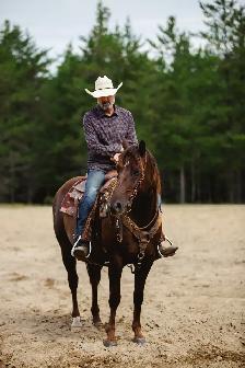 2019 AQHA GELDING FAMILY HORSE - Photo 4