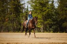 2019 AQHA GELDING FAMILY HORSE - Photo 6