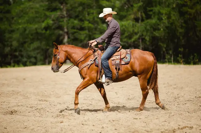 2022 QH PROSPECT