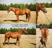 2022 QH PROSPECT - Photo 2