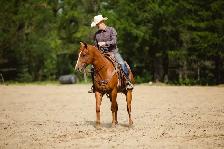 2022 QH PROSPECT - Photo 3