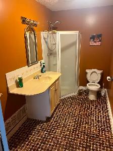LARGE ROOM WITH PRIVATE BATHROOM FOR RENT - Photo 2