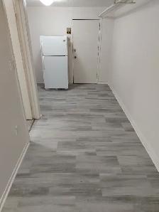 Centretown Basement ALL-INCLUSIVE Bachelor/Studio (353 Frank St) - Photo 9