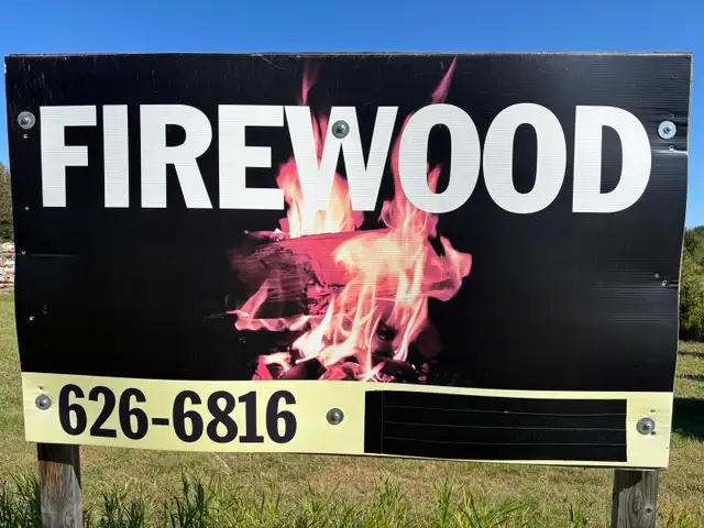 Birch Firewood