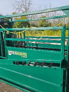 Cattle Chutes & Handling Systems - Photo 2