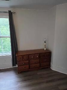 Bachelor Apartment Middleton - Photo 4