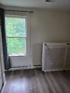 Bachelor Apartment Middleton - Photo 5