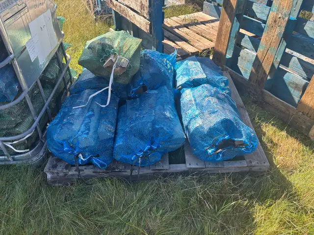 Bagged Firewood