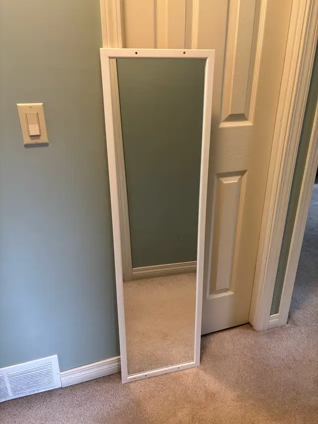 Mainstays door / wall mirror