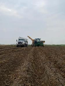 Class 3 Potato truck driver - Photo 2