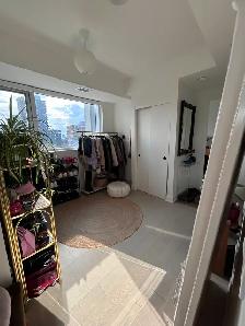 2-bedroom   den 2-bathroom Sandy Hill / ByWard Market - Photo 3