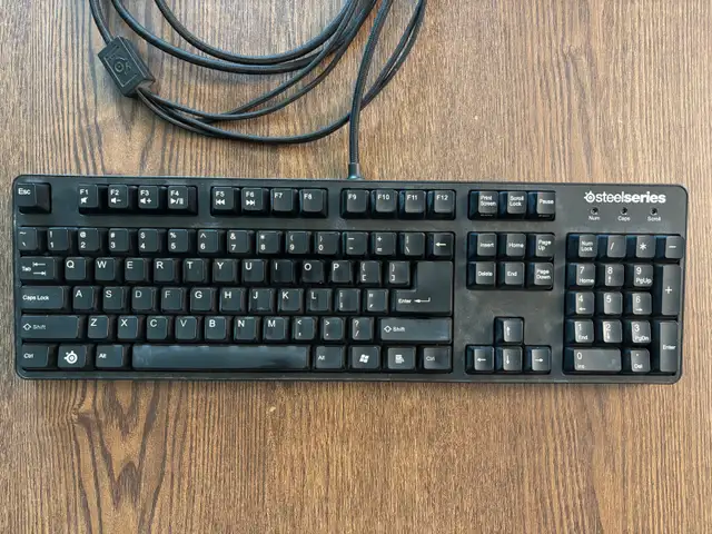 Steelseries Professional Gaming Gear heavy duty keyboard