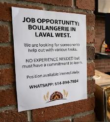 Looking for someone to help out at boulangerie in laval west