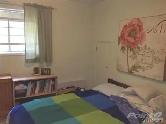Bright Raised One-Bedroom Suite – Great Location - Photo 3