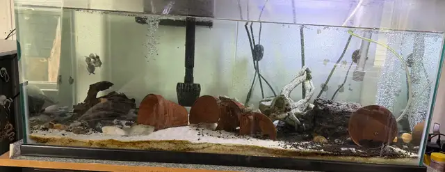 40 Gal Aquarium for Sale