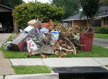 STUMP REMOVAL - Photo 4