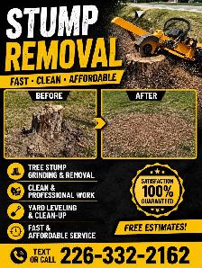 STUMP REMOVAL - Photo 5