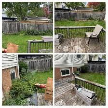 Free local lawn and tree quotes - Photo 3