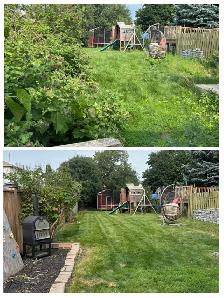 Free local lawn and tree quotes - Photo 4