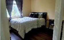 Female-Only Student Rental - Photo 7