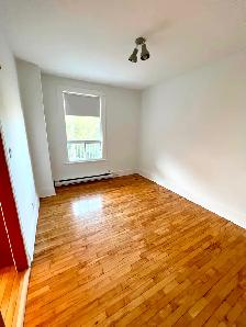 6½ Rosemont Gem, Spacious 3 Bedroom, fully equipped - Photo 6