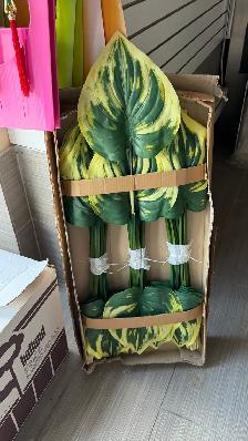 FLOWER SHOP LIQUIDATION SALE – EVERYTHING MUST GO - Photo 9