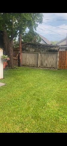Oshawa Main Floor Legal Bachelor Apt $1499 - Photo 10