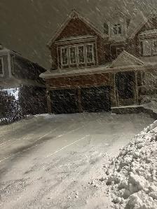 Snow Removal  / Only Whitby - Photo 5