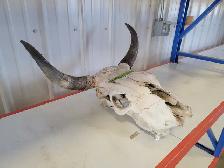 #26IA – Miscellaneous Consignment Auction, Drayton Valley, AB - Photo 8