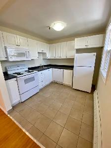 RENO'ED92 Evans Ave Unit 14 - Nov 2nd - Heat, Water, & Pkg Incl! - Photo 4