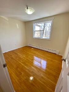 RENO'ED92 Evans Ave Unit 14 - Nov 2nd - Heat, Water, & Pkg Incl! - Photo 5