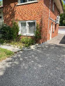 2 Bedrooms Apartment for Rent Shepard & Pharmacy - Photo 9