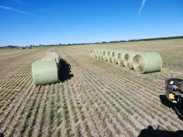 Crested Wheatgrass Aftermath Bales For Sale
