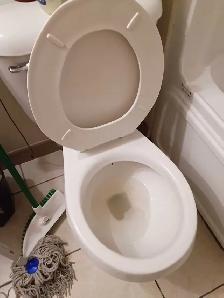 Offering Move Out/Move In Cleaning Services - Photo 2