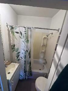 CESSION DE BAIL - 3½, SHERBROOKE CENTRE-VILLELoyer : 695 $ par - Photo 2