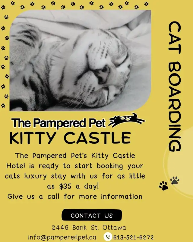 Pampered Pet Kitty Hotel